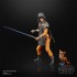 Cal Kestis (Fallen Order) - Star Wars The Black Series DeLuxe