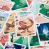 Cartas Juego Extinción de Gnomo Saurus