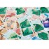 Cartas Juego Extinción de Gnomo Saurus